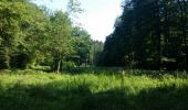 Tour Wandern Houyet - CIERGNON (Les étangs de Fenffe). - Photo 1