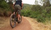 Trail Mountain bike Plaine - Rando des Brimbelles 01 - Photo 1