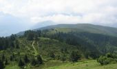 Excursión Bici de montaña Sarrancolin - Le col d'Azet en VTT - Photo 3