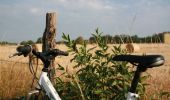 Tocht Mountainbike Hindisheim - Le Long des Canaux - Photo 1