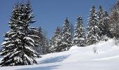 Randonnée Raquettes à neige Solbach - Raquettes au Champ du Feu - Photo 1