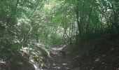 Trail Walking Souligny - montaigu - val de gloire - Photo 3