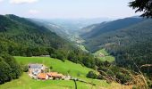 Excursión Bici de montaña Rombach-le-Franc - Rando du Val d'Argent - Photo 1