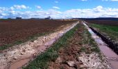 Tour Wandern Beynac-et-Cazenac - Beynac (1)  - Photo 1