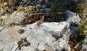 Tocht Stappen Anduze - Anduze - Anc. Fort en Ruine Porte des Cévennes - Photo 3