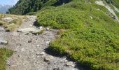 Tour Schneeschuhwandern Chamonix-Mont-Blanc - Test Aiguille des Posettes Cap Nord  - Photo 10