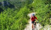 Trail Mountain bike Cubières - GTMC de Claire - 7 - Photo 1