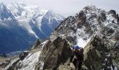 Tour Wandern Chamonix-Mont-Blanc - Aiguilles rouges, traversée des Crochues - Photo 2