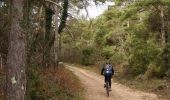 Percorso Corsa a piedi La Roquebrussanne - De la Roquebrussanne au Plateau d'Agnis - Photo 3