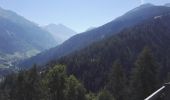 Randonnée Marche Val de Bagnes - Bruson -  bisse des ravines 29.07.18 - Photo 6