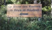 Randonnée Marche Val de Bagnes - Bruson -  bisse des ravines 29.07.18 - Photo 1