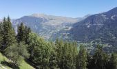 Randonnée Marche Val de Bagnes - Bruson -  bisse des ravines 29.07.18 - Photo 9