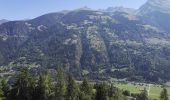 Randonnée Marche Val de Bagnes - Bruson -  bisse des ravines 29.07.18 - Photo 8