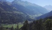 Randonnée Marche Val de Bagnes - Bruson -  bisse des ravines 29.07.18 - Photo 7
