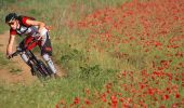 Tour Mountainbike Ouroux-en-Morvan - Espace VTT FFC Parc du Morvan - Circuit n°3 - Ouroux en Morvan - Photo 1