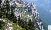 Trail Walking Plateau-des-Petites-Roches - Le Pas de Ragris, l'Aulp du Seuil - Photo 1