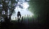 Tocht Mountainbike Mandeure - Grandes Traversées du Jura - Le Pays de Montbéliard - Photo 1