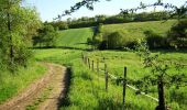 Randonnée Course à pied Saint-Geniès-Bellevue - Le chemin de Laura - Photo 1