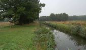 Randonnée Marche Montereau - Etangs et rigoles du Loiret - Photo 6