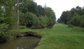 Trail Walking Montereau - Etangs et rigoles du Loiret - Photo 5