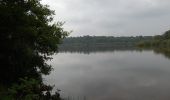 Randonnée Marche Montereau - Etangs et rigoles du Loiret - Photo 4