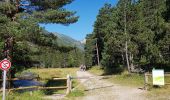 Trail Walking Formiguères - La Porteil.d Orlu au départ de Formiguères  - Photo 15