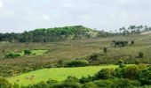 Trail Mountain bike Plougonven - Espace VTT-FFC Morlaix Monts d'Arrée, circuit n°4 - Les Cragou - Photo 1