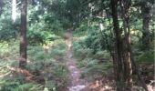 Trail Mountain bike Messanges - spot vieux boucau Souston  - Photo 1