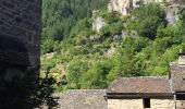 Tour Wandern Gorges du Tarn Causses - Ste Enimie Castelbouc Ste Enimie  - Photo 1