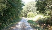 Randonnée Marche Seuilly - Seuilly - Sentier des guerres Picrocholines - Lerné la Roche-Clermault Cinais - 21.2km 215m 4h40 (45mn) - 2018 08 05 - Photo 18