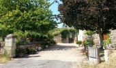 Randonnée Marche Seuilly - Seuilly - Sentier des guerres Picrocholines - Lerné la Roche-Clermault Cinais - 21.2km 215m 4h40 (45mn) - 2018 08 05 - Photo 2