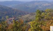 Trail Walking Marchamp - La Tourbière de Cerin - Photo 1