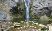 Excursión Senderismo Marchamp - La cascade de la Brive, Cerin et Marchamp - Photo 1