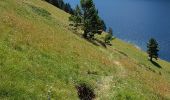 Trail Walking Aragnouet - Boucles des lacs de bastan et réserve du Néouvielle   - Photo 3