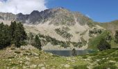 Trail Walking Aragnouet - Boucles des lacs de bastan et réserve du Néouvielle   - Photo 9