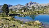 Excursión Senderismo Aragnouet - Boucles des lacs de bastan et réserve du Néouvielle   - Photo 19