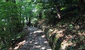 Trail Walking Perledo - Varenna Diervo viandante 11 km - Photo 4