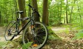 Trail Mountain bike Les Villettes - Espace VTT FFC Le Velay des 3 Rivières - N°8 Le Petit Moulinet Les Villettes - Photo 1