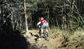 Trail Mountain bike Peille - Espace VTT FFC Sospel - N° 14 : Piste des Champions - Descente de Peille - Photo 3