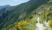 Excursión Bici de montaña Peille - Espace VTT FFC Sospel - N° 19 : Tour du Mont Ours - Photo 2