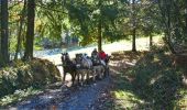 Randonnée V.T.T. Burg - Sur les crêtes du piémont Pyrenéen - Photo 3