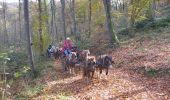 Trail Mountain bike Burg - Sur les crêtes du piémont Pyrenéen - Photo 1