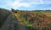 Trail Equestrian Burg - Sur les crêtes du piémont Pyrenéen - Photo 2