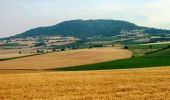 Tocht Stappen Saint-Sandoux - Le Puy de Saint Sandoux  - Photo 1