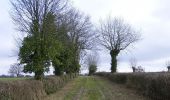 Randonnée Marche Amailloux - Amailloux Sud - Photo 6