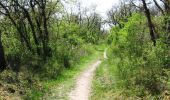 Trail Walking Milly-la-Forêt - Moigny sur Ecole - Photo 3