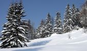 Tocht Stappen Steige - Col de Steige - Photo 1