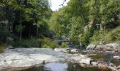 Tour Mountainbike Craponne-sur-Arzon - Site VTT FFC au Pays de Craponne - Circuit n°20 - Grand Tour de Craponne - Photo 1