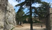 Trail Walking Saint-Antonin-sur-Bayon - croix de PROVENCE par le sud - Photo 3