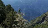 Randonnée Marche Chamrousse - tourbiere - Photo 1